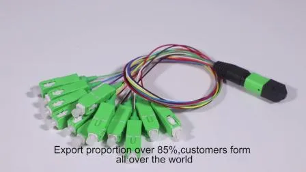 Factory Sales 8f 12f 24f LC/Sc/St/FC MPO/MTP Connector Trunk Cable Fiber Optic Patch Cord / Patchcord